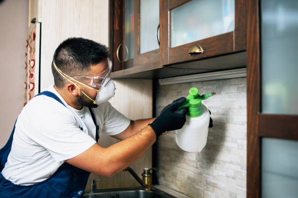 Pest Control Cost in Oakland, OR