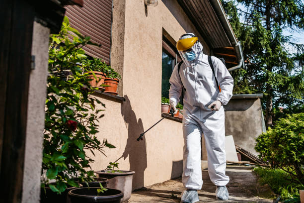 Best Termite Control Services  in Oakland, OR