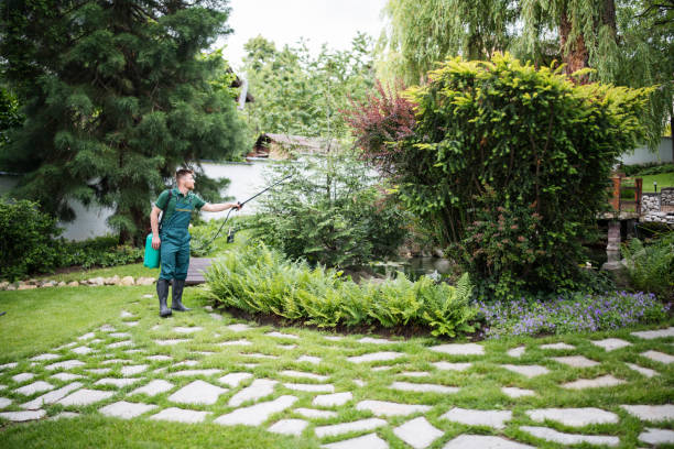 Best Emergency Pest Control  in Oakland, OR