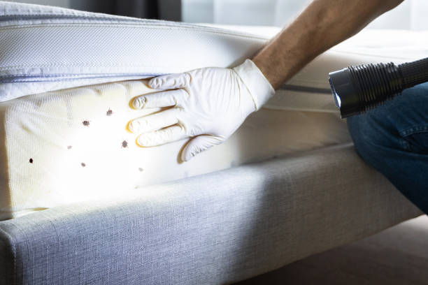 Best Flea Control Services  in Oakland, OR