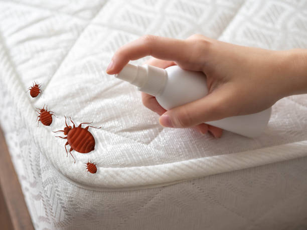 Best Termite Control Services  in Oakland, OR