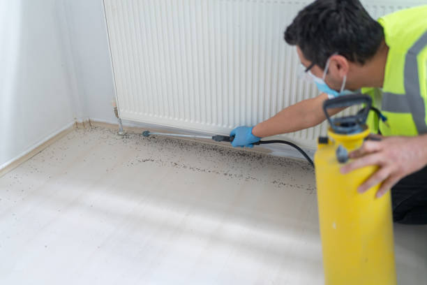 Best Wasp Removal Services  in Oakland, OR